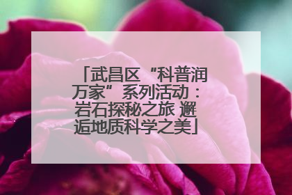 武昌区“科普润万家”系列活动：岩石探秘之旅 邂逅地质科学之美