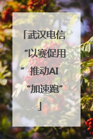 武汉电信“以赛促用”推动AI“加速跑”