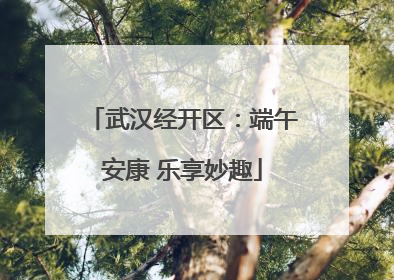 武汉经开区：端午安康 乐享妙趣