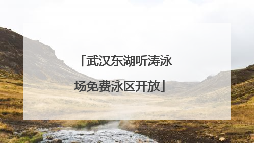 武汉东湖听涛泳场免费泳区开放