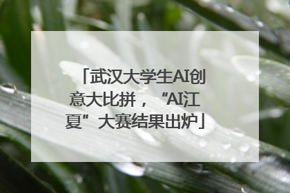 武汉大学生AI创意大比拼，“AI江夏”大赛结果出炉