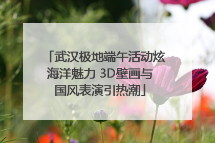 武汉极地端午活动炫海洋魅力 3D壁画与国风表演引热潮