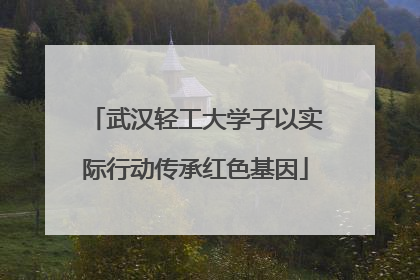 武汉轻工大学子以实际行动传承红色基因