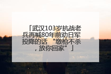 武汉103岁抗战老兵再喊80年前劝日军投降的话 “缴枪不杀，放你回家”