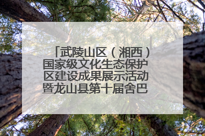 武陵山区（湘西）国家级文化生态保护区建设成果展示活动暨龙山县第十届舍巴日即将启幕