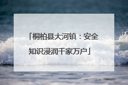 桐柏县大河镇：安全知识浸润千家万户