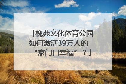槐苑文化体育公园如何激活39万人的“家门口幸福”？