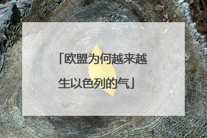 欧盟为何越来越生以色列的气