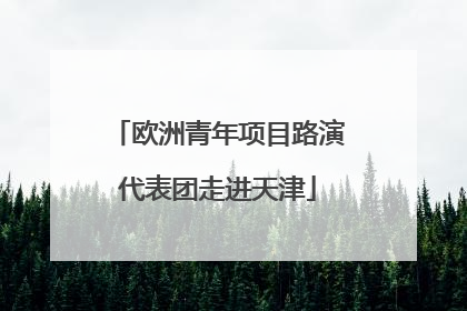 欧洲青年项目路演代表团走进天津