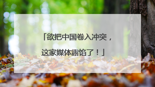 欲把中国卷入冲突，这家媒体露馅了！