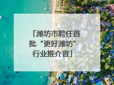 潍坊市聘任首批“更好潍坊”行业推介官