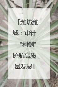 潍坊潍城：审计“利剑”护航高质量发展