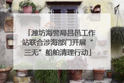 潍坊海警局昌邑工作站联合涉海部门开展“三无”船舶清理行动