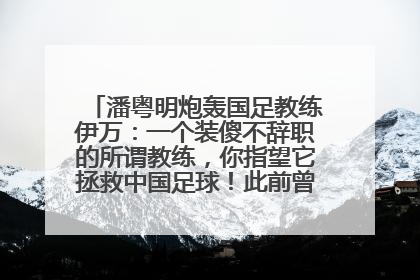 潘粤明炮轰国足教练伊万：一个装傻不辞职的所谓教练，你指望它拯救中国足球！此前曾多次发文评价国足