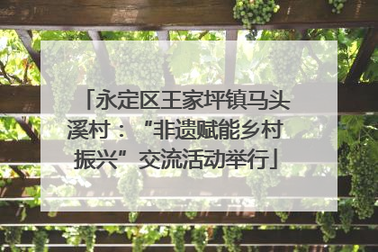 永定区王家坪镇马头溪村：“非遗赋能乡村振兴”交流活动举行