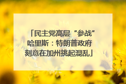 民主党高层“参战” 哈里斯：特朗普政府刻意在加州挑起混乱