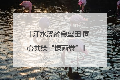 汗水浇灌希望田 同心共绘“绿画卷”