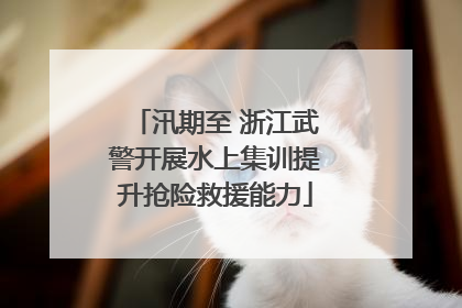 汛期至 浙江武警开展水上集训提升抢险救援能力