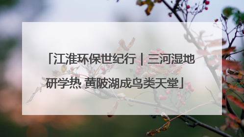 江淮环保世纪行｜三河湿地研学热 黄陂湖成鸟类天堂