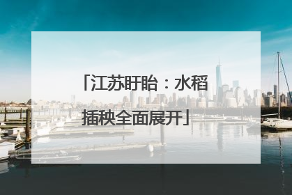 江苏盱眙：水稻插秧全面展开