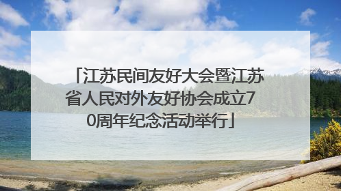 江苏民间友好大会暨江苏省人民对外友好协会成立70周年纪念活动举行