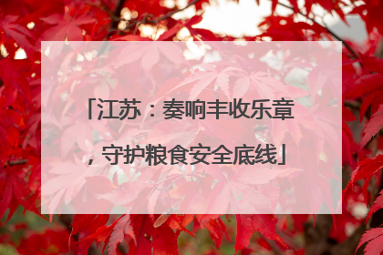 江苏：奏响丰收乐章，守护粮食安全底线