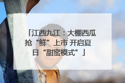 江西九江：大棚西瓜抢“鲜”上市 开启夏日“甜蜜模式”