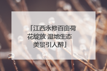 江西永修百亩荷花绽放 湿地生态美景引人醉