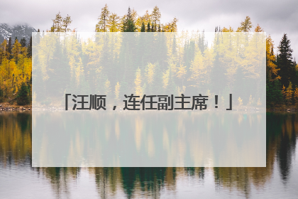 汪顺，连任副主席！