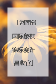 河南省国际象棋锦标赛许昌收官