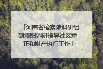 河南省检察院调研组到濮阳调研指导社区矫正和财产执行工作