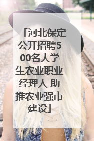 河北保定公开招聘500名大学生农业职业经理人 助推农业强市建设