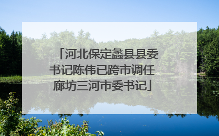河北保定蠡县县委书记陈伟已跨市调任廊坊三河市委书记