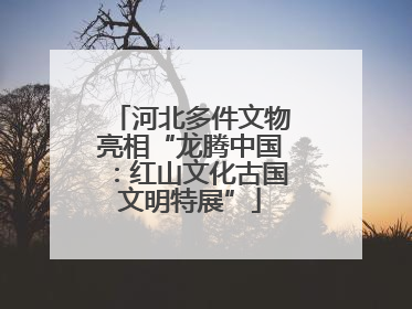河北多件文物亮相“龙腾中国：红山文化古国文明特展”