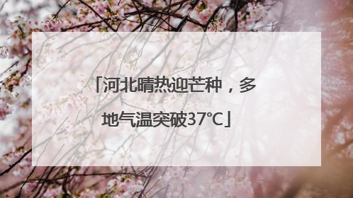 河北晴热迎芒种，多地气温突破37℃