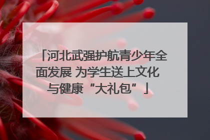 河北武强护航青少年全面发展 为学生送上文化与健康“大礼包”