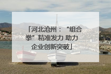 河北沧州：“组合拳”精准发力 助力企业创新突破