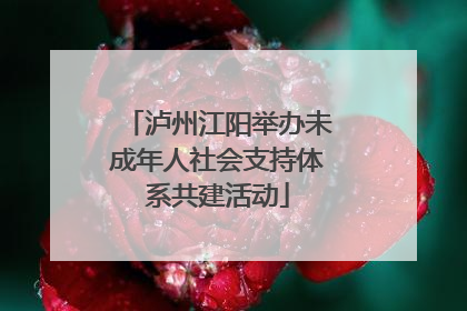 泸州江阳举办未成年人社会支持体系共建活动
