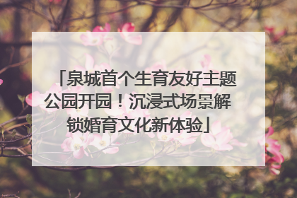 泉城首个生育友好主题公园开园！沉浸式场景解锁婚育文化新体验