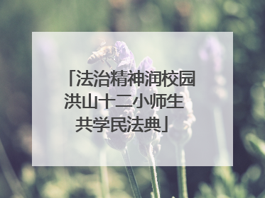 法治精神润校园 洪山十二小师生共学民法典