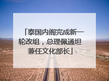 泰国内阁完成新一轮改组，总理佩通坦兼任文化部长