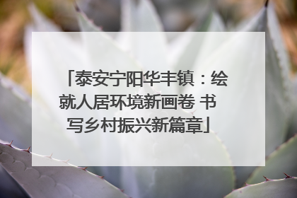 泰安宁阳华丰镇：绘就人居环境新画卷 书写乡村振兴新篇章