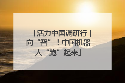 活力中国调研行｜向“智”！中国机器人“跑”起来