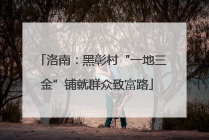 洛南：黑彰村“一地三金”铺就群众致富路