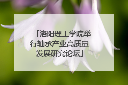 洛阳理工学院举行轴承产业高质量发展研究论坛