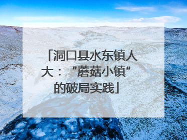 洞口县水东镇人大：“蘑菇小镇”的破局实践