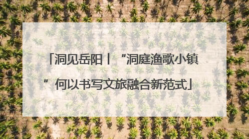 洞见岳阳丨“洞庭渔歌小镇”何以书写文旅融合新范式