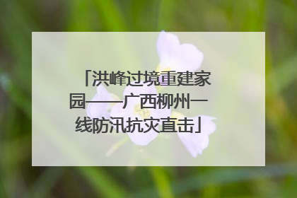 洪峰过境重建家园——广西柳州一线防汛抗灾直击