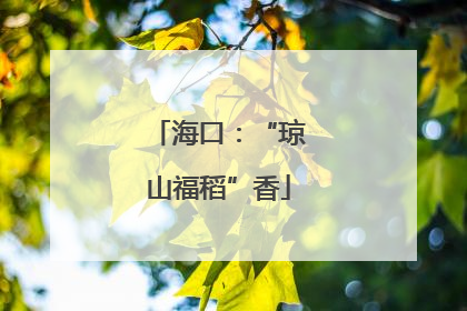 海口：“琼山福稻”香