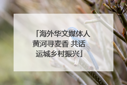 海外华文媒体人黄河寻麦香 共话运城乡村振兴